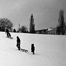 Schwarzweißaufnahme: Kinder und Erwachsene ziehen ihre Schlitten einen Hügel hoch.