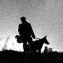 Nachtaufnahme einer Polizistin mit Schäferhund zwischen Bäumen im Gegenlicht der Flutlichtanlage des Friedrich-Ludwig-Jahn-Sportparks.